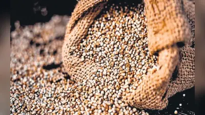 बिहार अन्न भंडारण योजना: गोदाम बनाने के लिए कृषि विभाग दे रहा है 50 फीसदी अनुदान, जानिए क्या है स्कीम