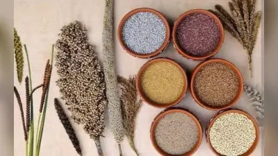 Millet Benefits: मोटे अनाज में छिपा है पतले होने का राज, शरीर को कई बीमारियों से रखता है दूर