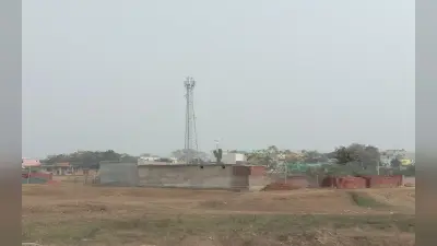 Jharkhand : परिंदों व इंसानों के लिए है कितना खतरनाक हैं मोबाइल टावरों के रेडिएशन? बता रहे हैं एक्सपर्ट