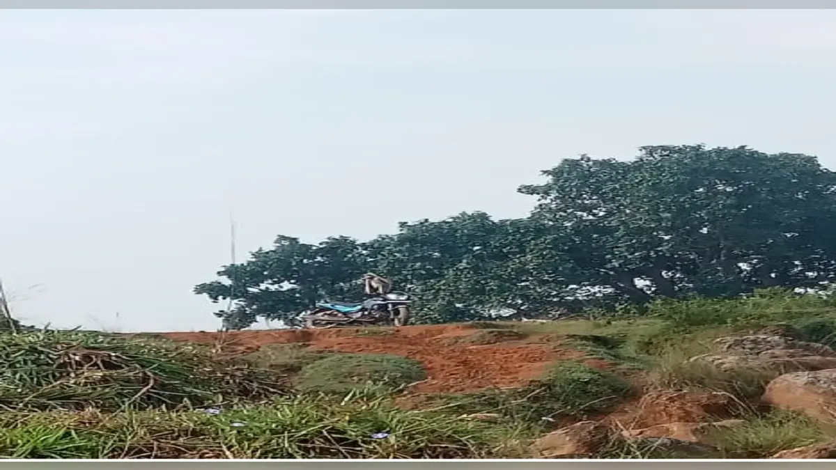 Jharkhand News : रांची में लंगूरों का आतंक, जख्मी लोगों का रिम्स में चल रहा इलाज, वन विभाग की टीम मुस्तैद
