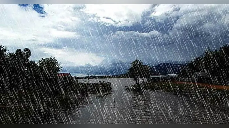 Bihar Weather: खत्म हुआ इंतजार, अगले 48 घंटे में बिहार में दस्तक देगा मानसून, जानिए कहां होगी पहली बारिश