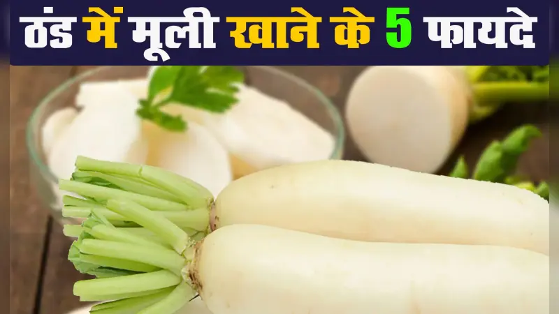 Health News: ठंड में मूली खाने के 5 फायदे, इम्यूनिटी से लेकर त्वचा, पाचन तंत्र और High BP में भी जरूरी