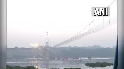 Morbi Bridge Incident: जंग लगे तार और पुराने सस्पेंडर्स हादसे का मुख्य कारण, SIT की जांच रिपोर्ट में कई खुलासे