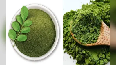 Moringa Powder Benefits: बीमारियों का रामबाण इलाज है सहजन की पत्तियां, सर्दियों में खाने से होते हें ये फायदे