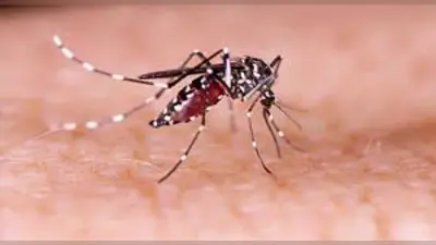 Odisha News: जापानी इंसेफेलाइटिस ने ओड़िशा में बजाई खतरे की घंटी, स्कूल की पांच छात्राएं मिली संक्रमित