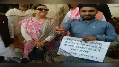 बजट सत्र : बिहार की सियासत में हुई चूहे की एंट्री, …जानें क्या है पूरा मामला?