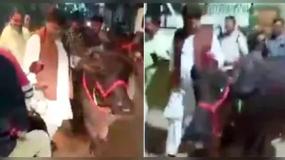 बिजली संकट का निरीक्षण करने गये MP के ऊर्जा मंत्री ग्वालियर में टहलाने लगे भैंस, Video वायरल