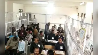 MP Nagar Nikay Chunav Result 2023: विधानसभा चुनाव के पहले भाजपा के लिए आयी अच्छी खबर, जानें चुनाव परिणाम