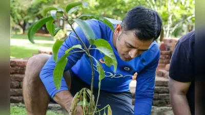 World Environment Day 2023: BCCI पूरे देश में लगाएगा करीब 1.5 लाख पेड़, पर्यावरण को मिलेगी मदद