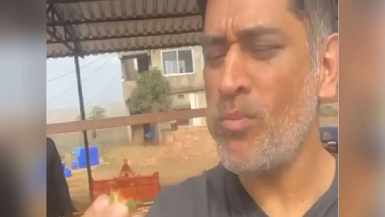 Dhoni Farm House Strawberry : ‘किसान’ धौनी ने टेस्ट किया खुद के खेत का तैयार स्ट्रॉबेरी, शेयर किया VIDEO