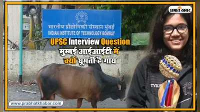 UPSC इंटरव्यू का सवाल ! IIT मुम्बई में क्यों घूमती है गाय? जब IAS बनीं सिमी ने दिया इसका रोचक जबाब