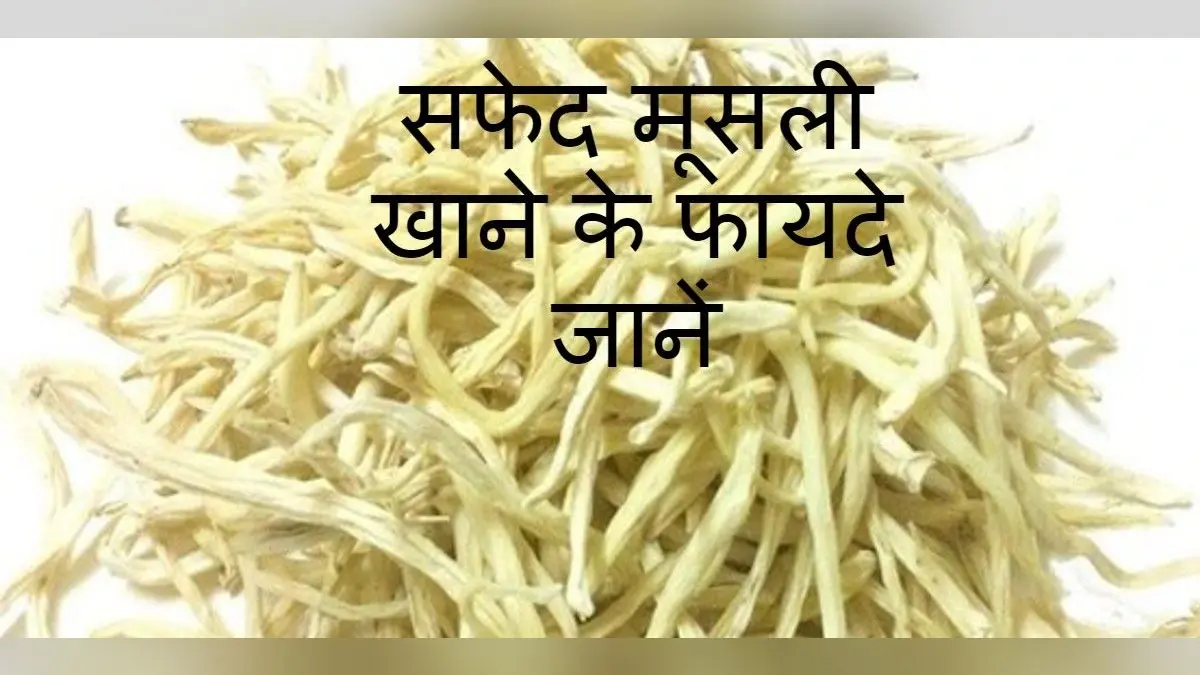 Benefits Of Safed Musli: वजन बढ़ाने से लेकर डिप्रेशन दूर करने तक में फायदेमंद है सफेद मूसली