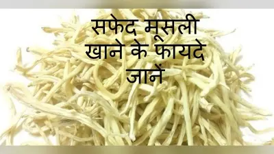 Benefits Of Safed Musli: वजन बढ़ाने से लेकर डिप्रेशन दूर करने तक में फायदेमंद है सफेद मूसली