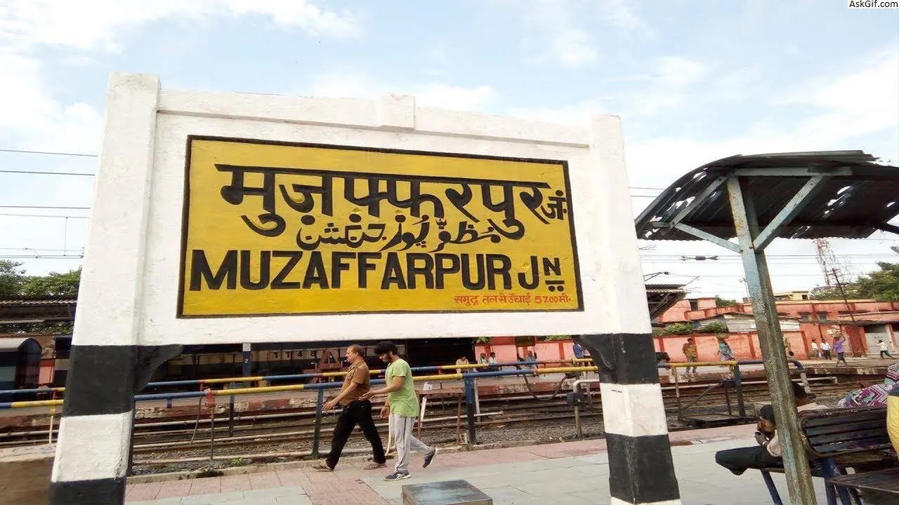 बिहार: गोपालगंज के स्कूल के मिड डे मील में मिला कीड़ा, बच्चों में मची अफरा तफरी