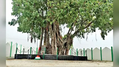 My Mati: आज भी प्रासंगिक है अमेरिका के मूलनिवासियों का इतिहास