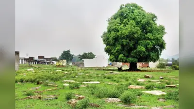 My Mati: मुंडाओं का हजारों वर्ष पुराना बारेंदा ‘ससनदिरी’ ऐतिहासिक धरोहर है