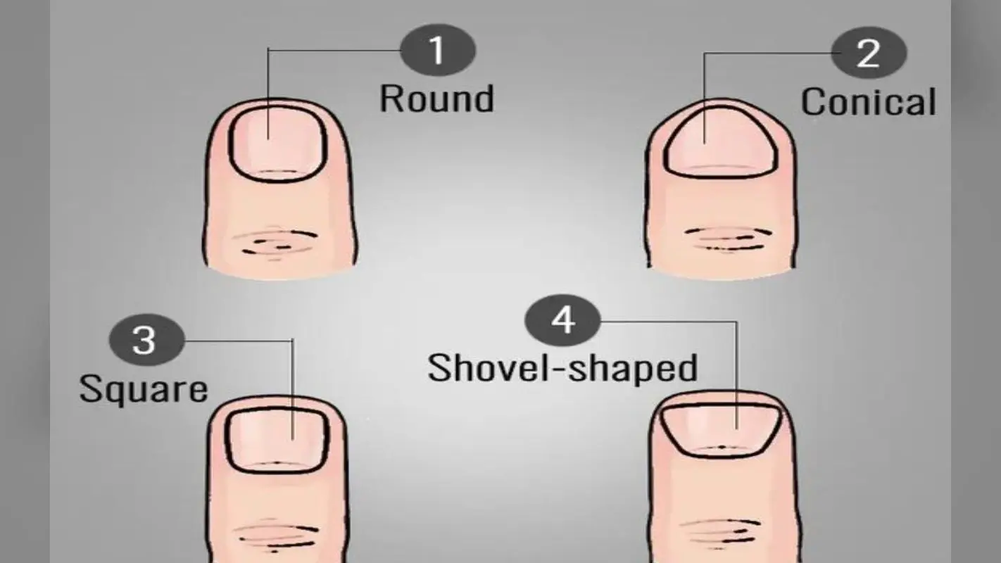 Nail Personality Trait: नाखूनों की बनावट खोलेगी आपकी पर्सनालिटी का राज, जानिए कैसे