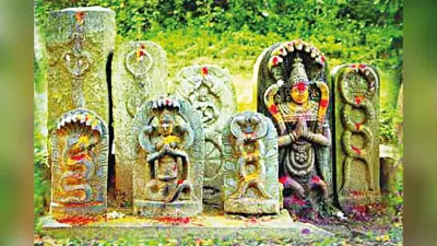 जीव संरक्षण व प्रकृति से जुड़ाव का पर्व है नागपंचमी