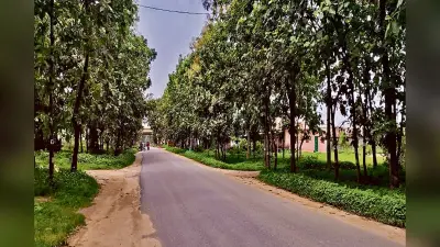 नामकुम-अनगड़ा सड़क पर चौड़ीरकरण का काम शुरू, 181 करोड़ रुपये की होगी लागत, 1825 पेड़ों को काटा जाएगा