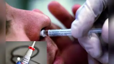 Nasal Covid Vaccine, कोवैक्सीन इंजेक्शन से कितना दमदार होगा यह टीका, दर्द-चूभन से मिलेगा छुटकारा?