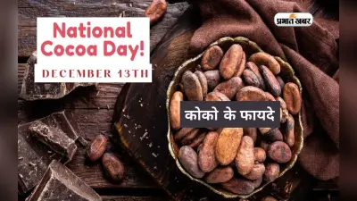 National Cocoa Day 2022: आज मनाया जा रहा है राष्ट्रीय कोको दिवस, जानें कोकोआ के फायदे