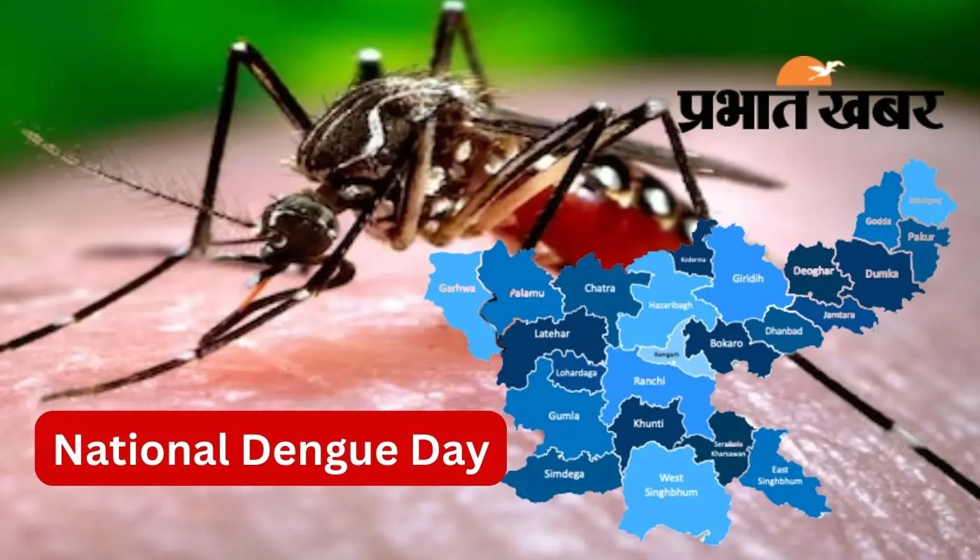 National Dengue Day: झारखंड में डेंगू पर प्रभावी नियंत्रण, 5 साल में हुई सिर्फ 2 लोगों की मौत