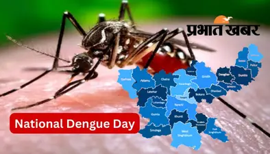 National Dengue Day: झारखंड में डेंगू पर प्रभावी नियंत्रण, 5 साल में हुई सिर्फ 2 लोगों की मौत