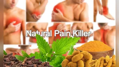 Natural Pain Killer: शरीर के इन हिस्सों के असहनिय दर्द से तुरंत राहत दिलाते है ये नेचुरल पेन किलर