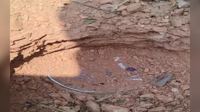 Naxal News: झारखंड में नक्सलियों की बड़ी साजिश नाकाम, जंगल से 5 आईईडी बम बरामद