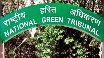 Ludhiana: गैस कांड पर NGT हुआ सख्त, पीड़ित परिवारों को 20-20 लाख रुपये देने का दिया निर्देश