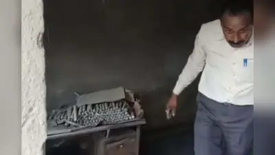 निया शर्मा का नया गाना ‘दो घूंट’ हुआ रिलीज, YouTube पर मिल रहे ताबड़तोड़ लाइक्स, VIDEO