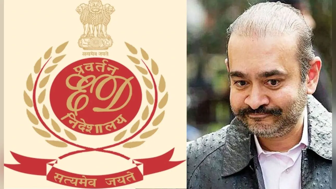 PNB Scam : नीरव मोदी की बहन पूर्वी ने भारत सरकार को भेजे 17.25 करोड़ रुपये, पति के साथ बनी सरकारी गवाह