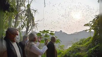 Bihar News: बिहार में कल से पहले ‘कलरव’ की शुरुआत, सीएम नीतीश करेंगे विदेशी मेहमानों से भरे उत्सव का आगाज