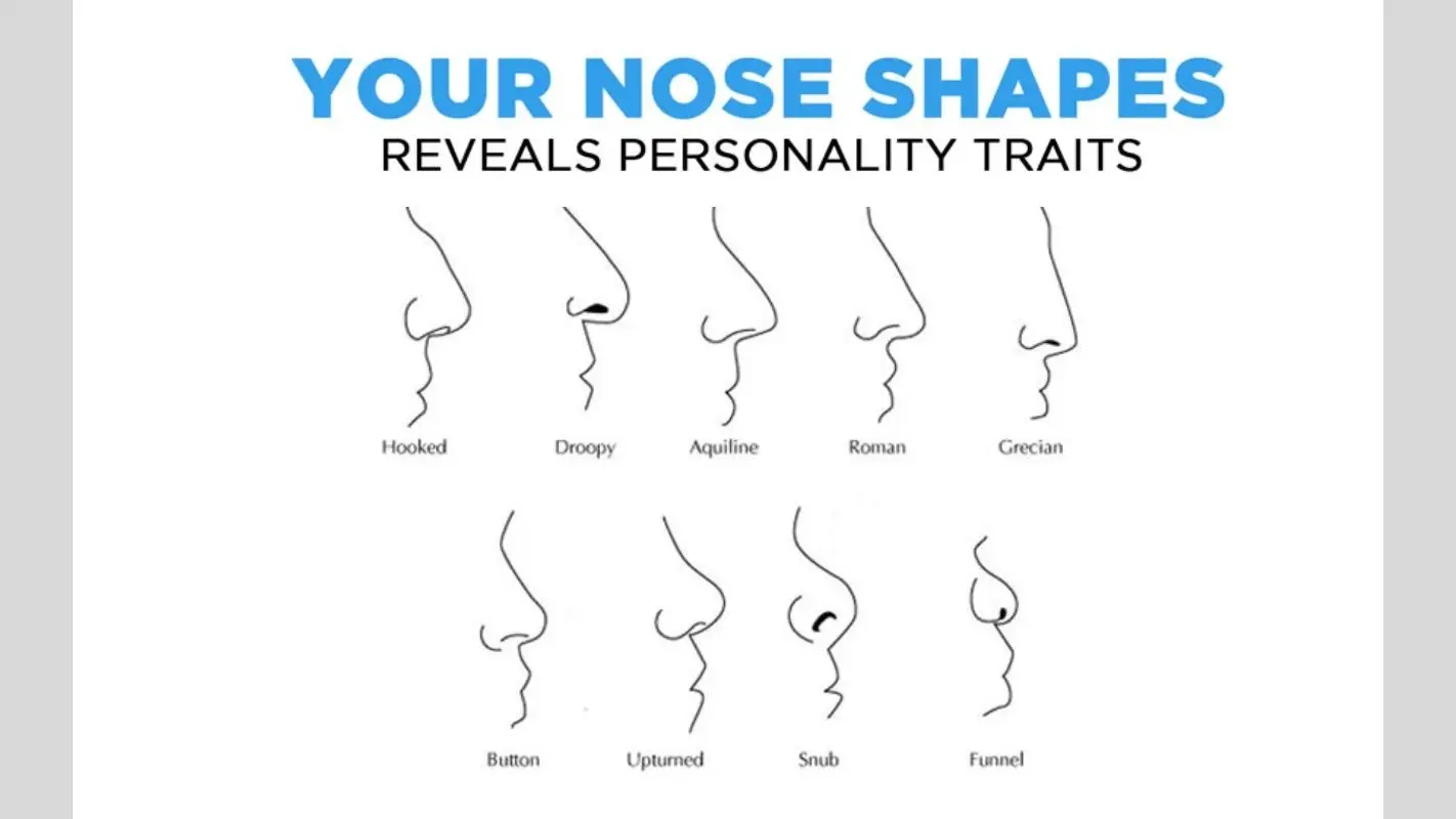 आपका Nose shape आपकी पर्सनालिटी के बारे में क्या बताता है? जानिए स्वभाव और लक्षण