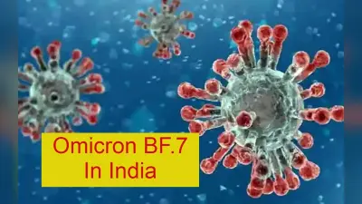 Omicron BF.7 से क्या आ सकती है देश मं कोरोना की नयी लहर? जानें एक्सपर्ट की राय
