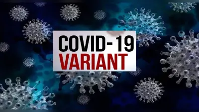 Corona New Variant symptoms: कोरोना के नए वेरिएंट JN.1 के क्या हैं लक्षण, जानें बचने के उपाय