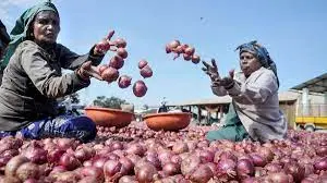 बिहार: दुर्गा पूजा खत्म होते ही प्याज के दाम में बढ़त, कीमत दो गुना, जानिए कहां सस्ते दामों में हो रही बिक्री