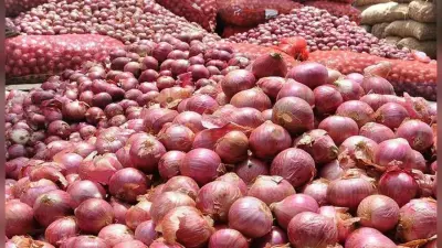 Onion Price : रंग ला रही है सरकार की कोशिश, इस हफ्ते प्याज के भाव में नहीं हुआ बड़ा इजाफा