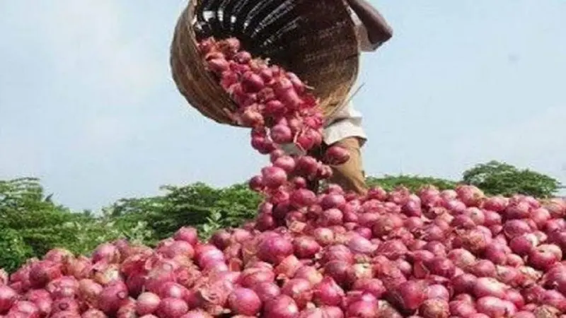 Onion Price: टमाटर के बाद प्याज निकालेगा आंसू, अलग सकती है कीमत में आग, जानें क्या है कारण