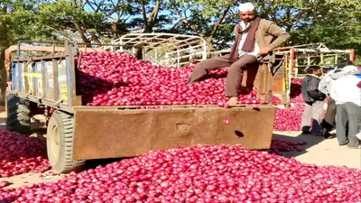 Onion Price: प्याज के निर्यात पर रोक का किसानों पर नहीं पड़ेगा प्रभाव, सरकार ने बताया कब कम होंगे दाम