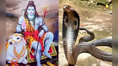 Sawan 2023: सावन में सांप के अलावा दिखें ये 3 जानवर तो बेहद लकी हैं आप, मिलने वाले हैं शुभ समाचार