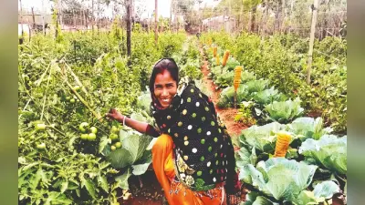 आर्गेनिक खेती से बदलने लगी किसानों की किस्मत, हजारों कमाने वाले अब लाखों कमाने लगे