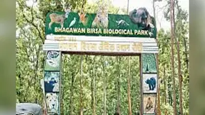 रांची के बिरसा जू में जल्द आयेंगे जेब्रा, कोलकाता से लाने की चल रही तैयारी