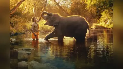 हाथी हमारे बच्चों की तरह हैं, पालक मां की तरह करती हूं देखभाल,The Elephant Whisperers फेम बेल्ली ने कही ये बात