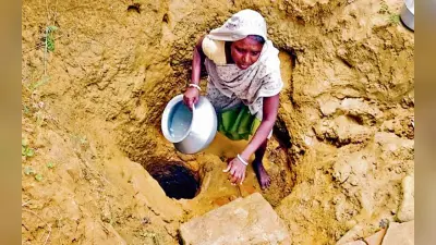 मॉनसून के आने पर भी बारिश नहीं, जलस्रोतों के सूखने से धनबाद के ग्रामीण क्षेत्रों में पेयजल के लिए मचा हाहाकार