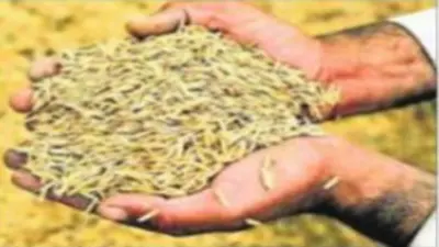 Jharkhand News: सुखाड़ योजना का लाभ लेनेवाले किसान अब पैक्स में नहीं बेच सकेंगे धान, जानें क्या है मामला
