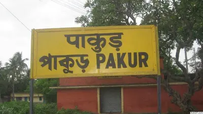 झारखंड के पाकुड़ में नाबालिग का अपहरण कर जबरन शादी, छह लोगों के खिलाफ मामला दर्ज