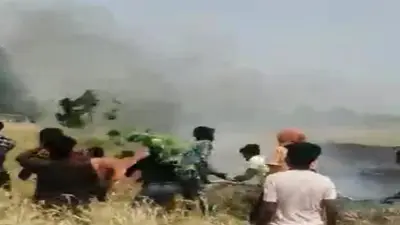 मधेपुरा में दबंगों ने खेत में लगी गेहूं की फसल लूटी, केस दर्ज