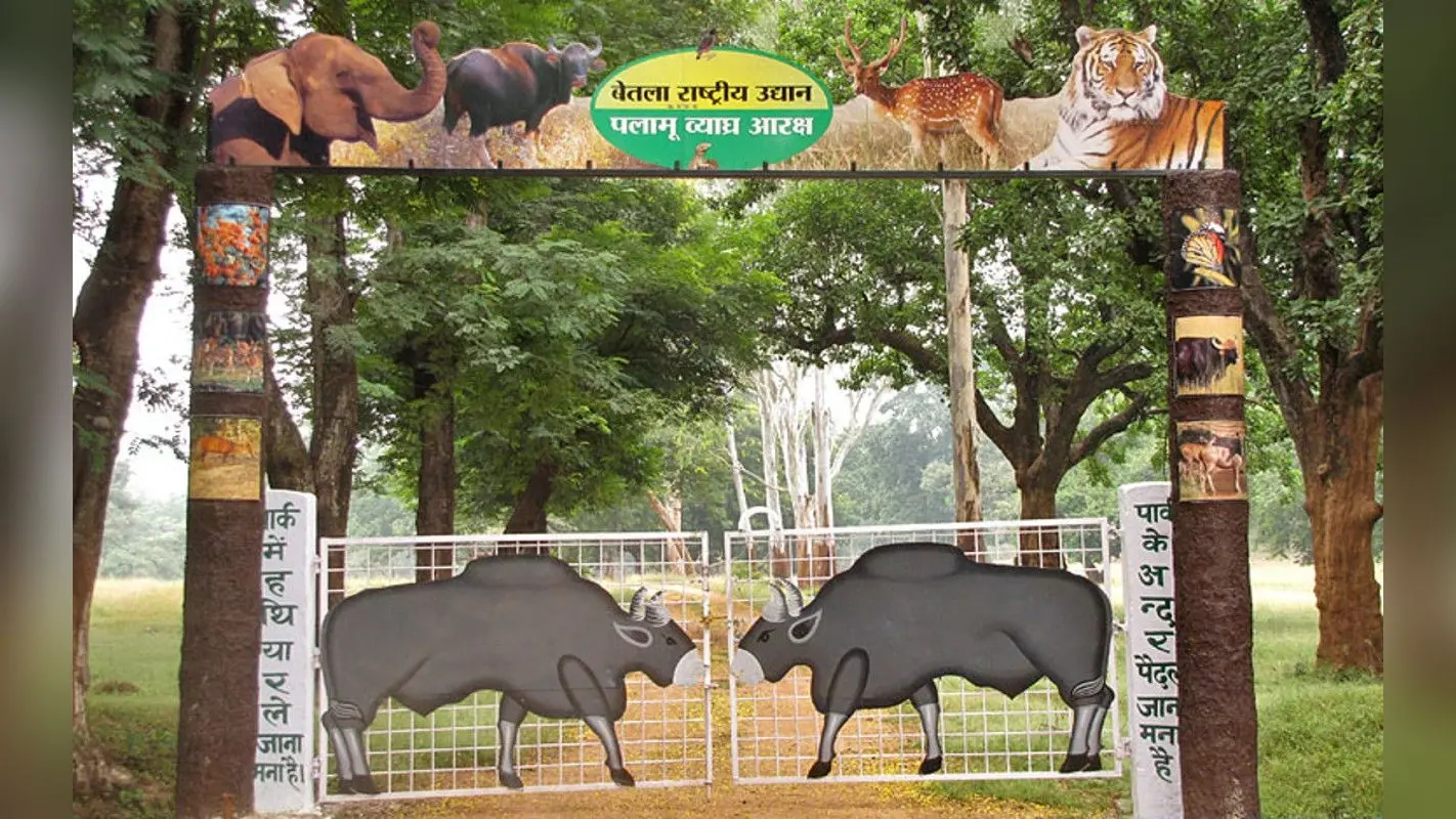 बॉक्साइट ढुलाई पर क्यों लगी रोक? PTR के कोर एरिया में रात में कमर्शियल वाहनों की नो-एंट्री