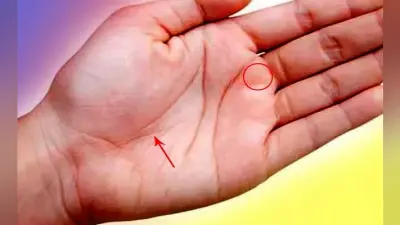 हस्तरेखा शास्त्र : शनि रेखा बताती है आपके करियर की कहानी,जानें किन्हे होती है धन की प्राप्ति